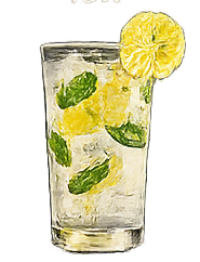 Virgin Mojito